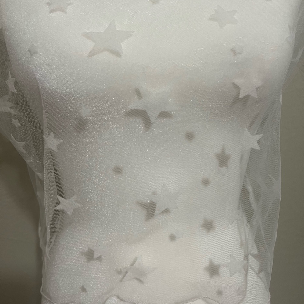 Very sheer, sexy crop top with white stars